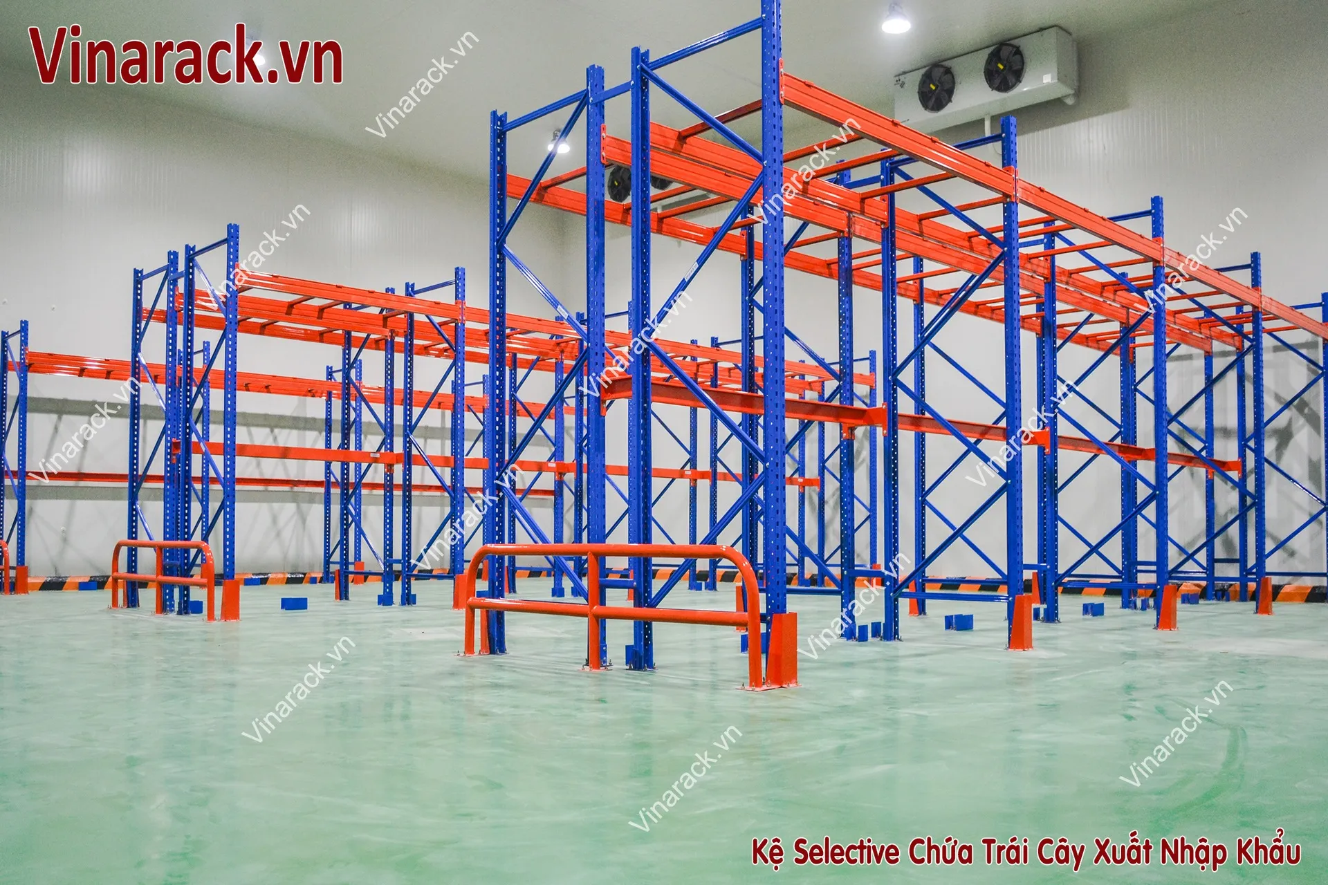 ke-selective-rau-qua-binh-thuan-gallery-1
