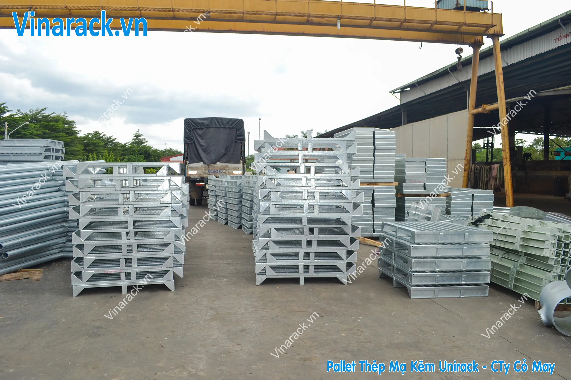 pallet-thep-ma-kem-co-may-gallery-1